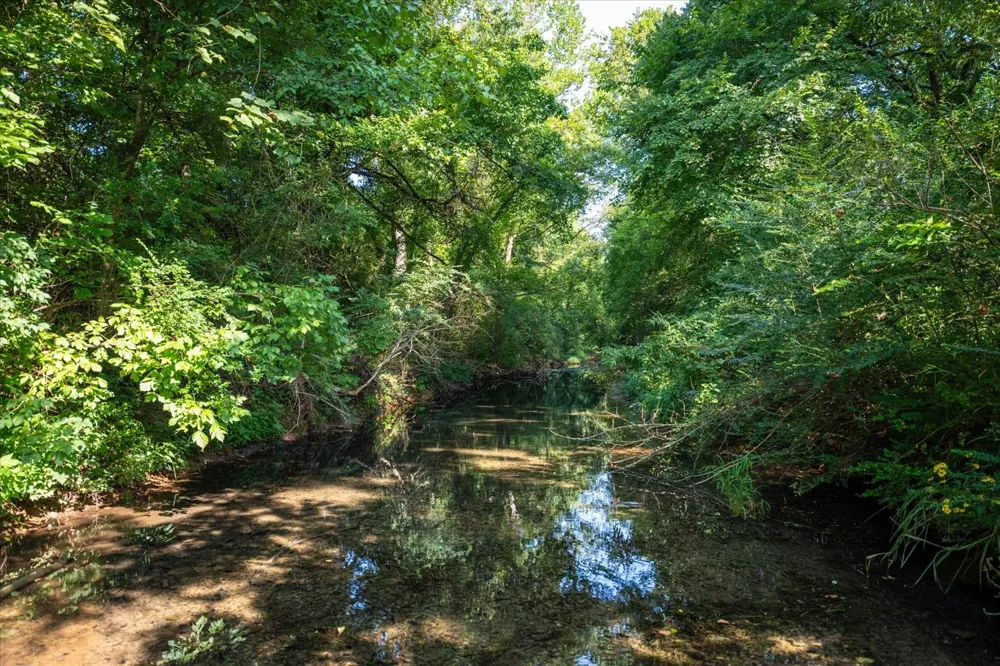 5360 Pond Creek Rd Pegram, TN 37143