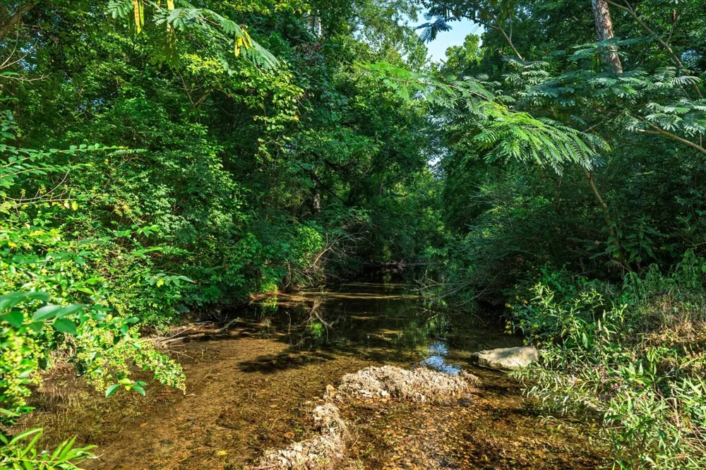 5360 Pond Creek Rd Pegram, TN 37143