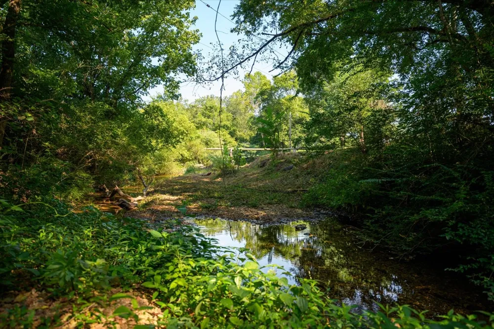 5360 Pond Creek Rd Pegram, TN 37143