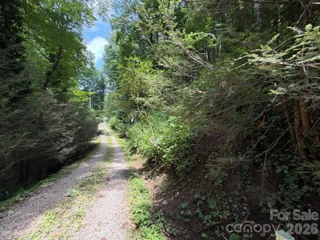 Lot 33-A Sara Ridge Road Waynesville, NC 28786