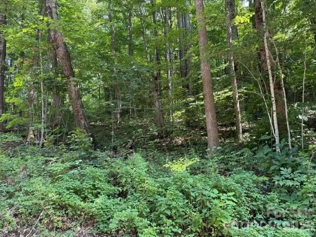 Lot 33-A Sara Ridge Road Waynesville, NC 28786