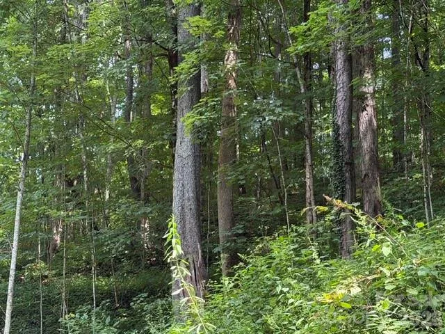Lot 33-A Sara Ridge Road Waynesville, NC 28786