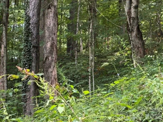 Lot 33-A Sara Ridge Road Waynesville, NC 28786