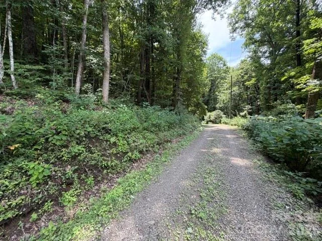 Lot 33-A Sara Ridge Road Waynesville, NC 28786