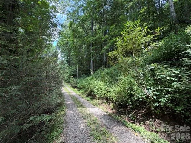 Lot 33-A Sara Ridge Road Waynesville, NC 28786