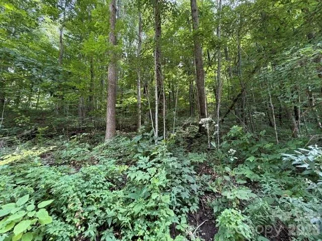Lot 33-A Sara Ridge Road Waynesville, NC 28786