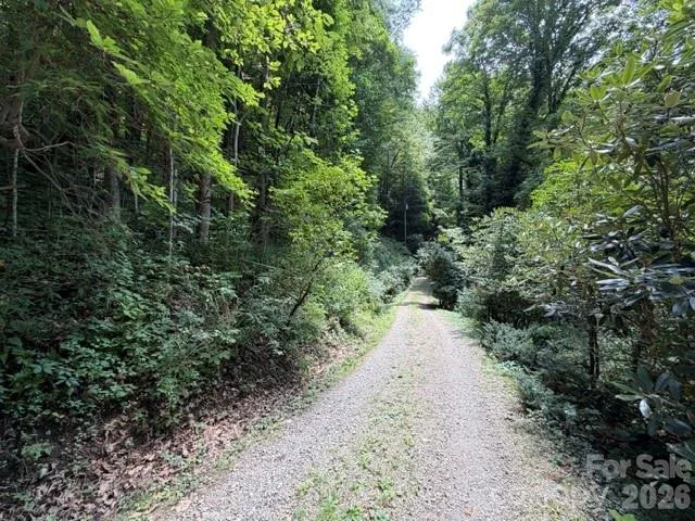 Lot 33-A Sara Ridge Road Waynesville, NC 28786