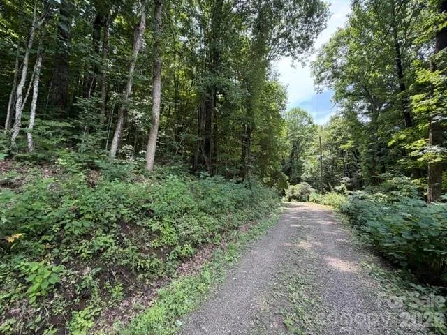Lot 33-A Sara Ridge Road Waynesville, NC 28786