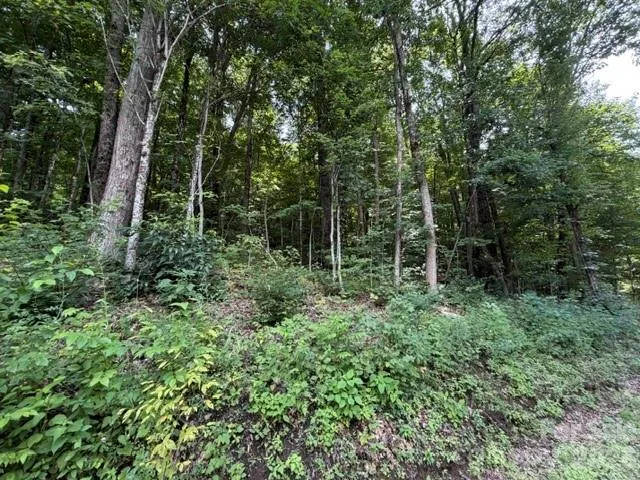 Lot 33-A Sara Ridge Road Waynesville, NC 28786