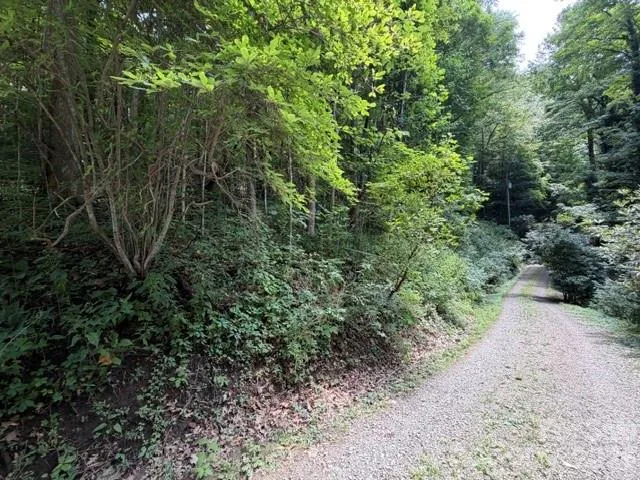 Lot 33-A Sara Ridge Road Waynesville, NC 28786