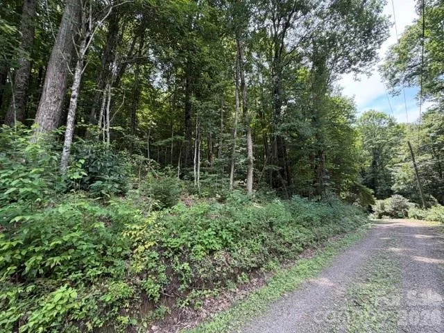 Lot 33-A Sara Ridge Road Waynesville, NC 28786