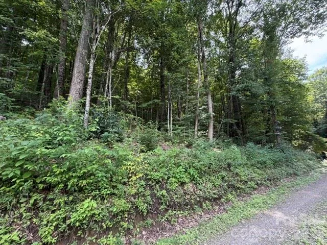 Lot 33-A Sara Ridge Road Waynesville, NC 28786