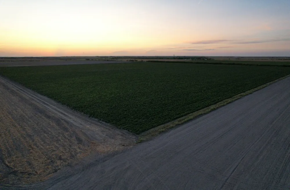 Mile 3 East Rd La Feria, TX 78570