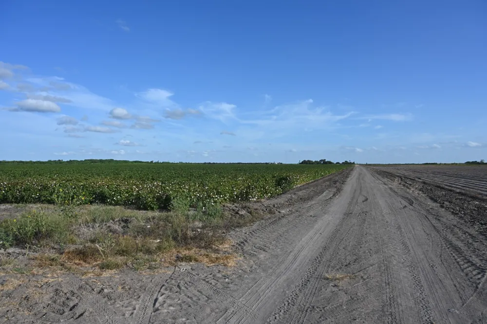 Mile 3 East Rd La Feria, TX 78570