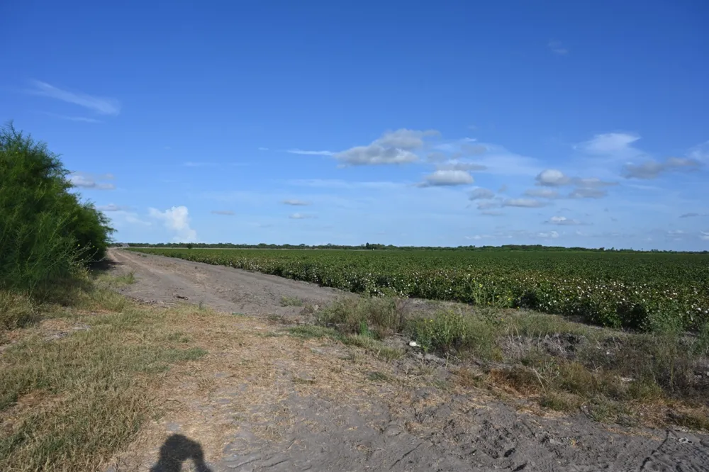 Mile 3 East Rd La Feria, TX 78570