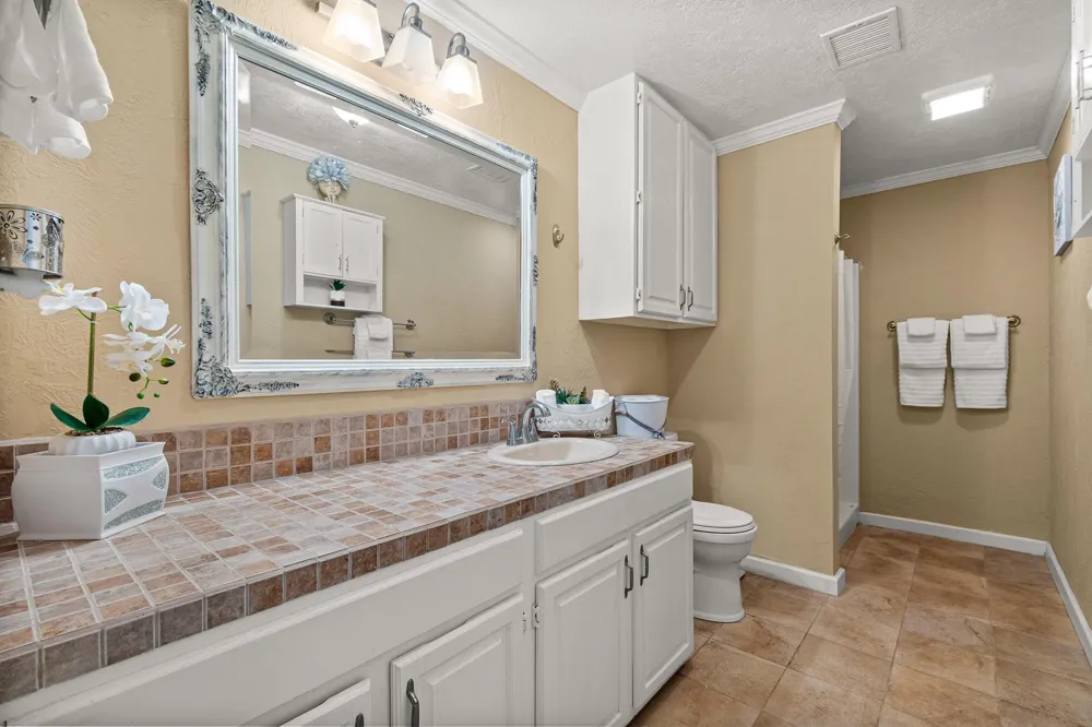 20 Clearview Street Point Blank, TX 77364