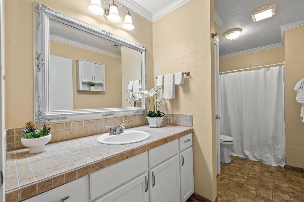 20 Clearview Street Point Blank, TX 77364