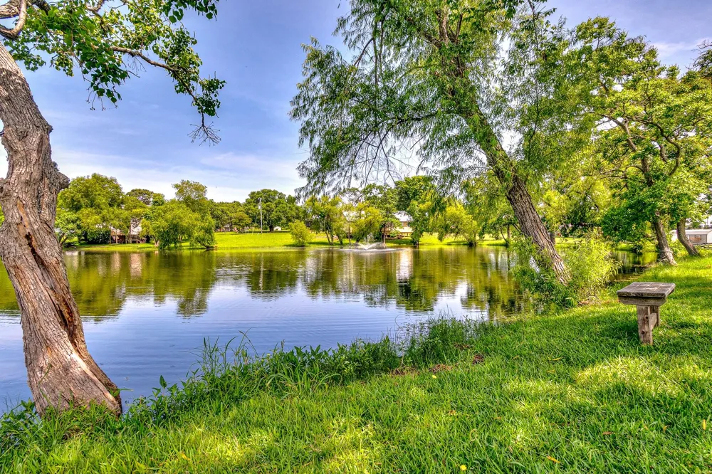 20 Clearview Street Point Blank, TX 77364