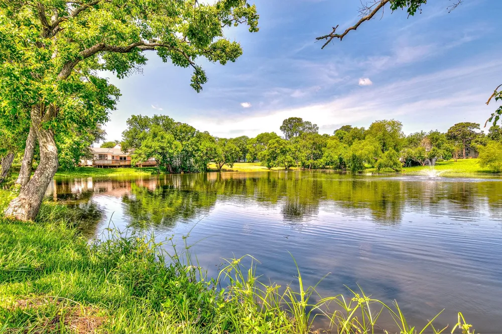 20 Clearview Street Point Blank, TX 77364