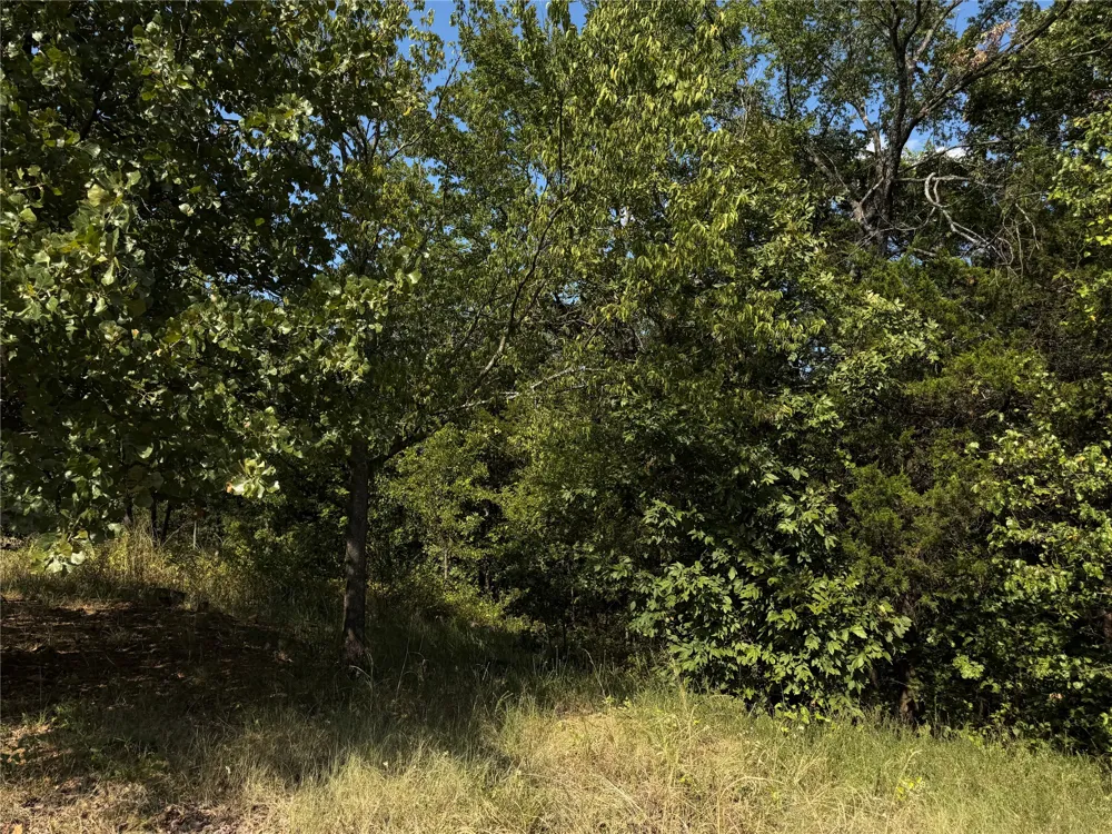 Mission Drive Poteau, OK 74953