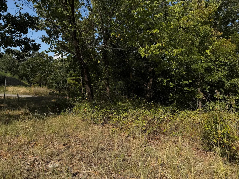 Mission Drive Poteau, OK 74953