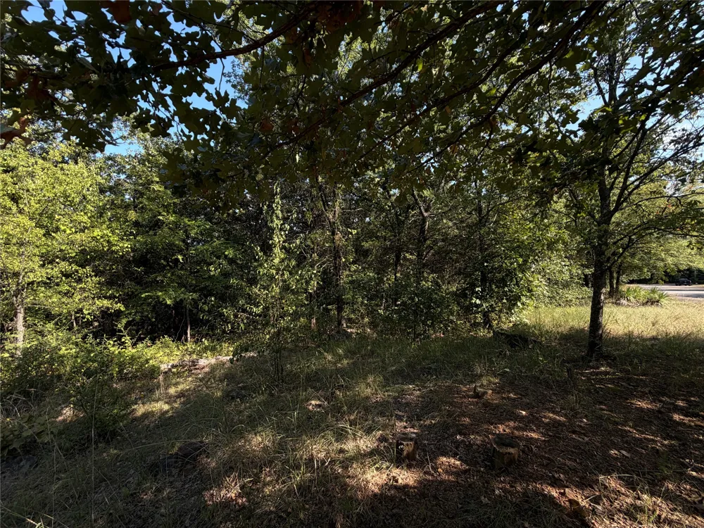 Mission Drive Poteau, OK 74953