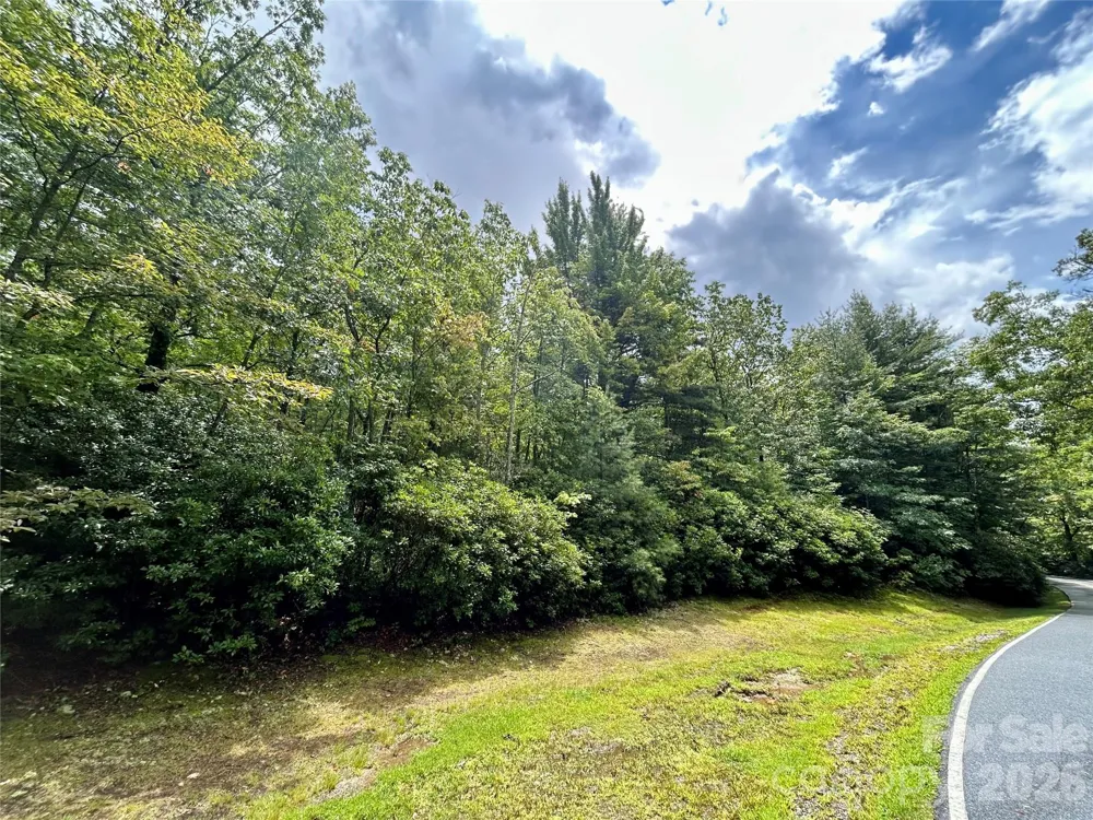 Lot 40 Hawk Mountain Road Lake Toxaway, NC 28747