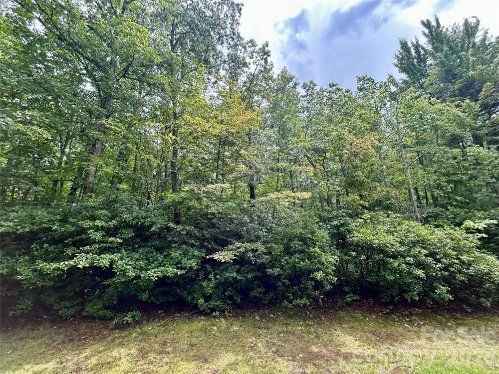 Lot 40 Hawk Mountain Road Lake Toxaway, NC 28747