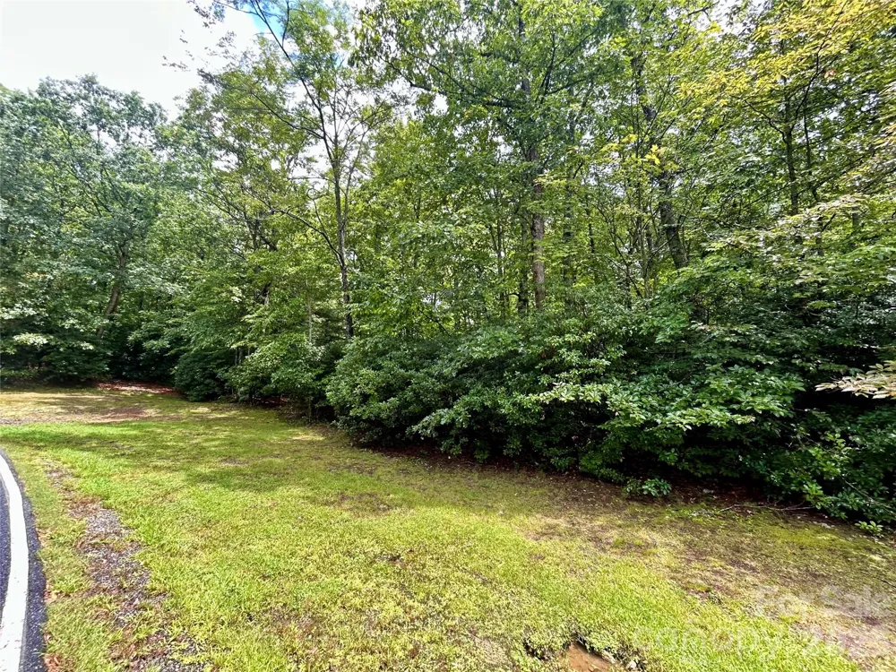 Lot 40 Hawk Mountain Road Lake Toxaway, NC 28747