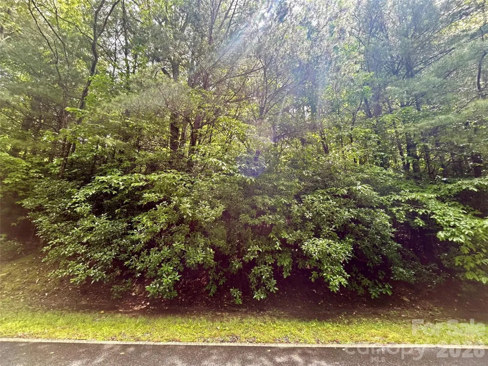 Lot 40 Hawk Mountain Road Lake Toxaway, NC 28747