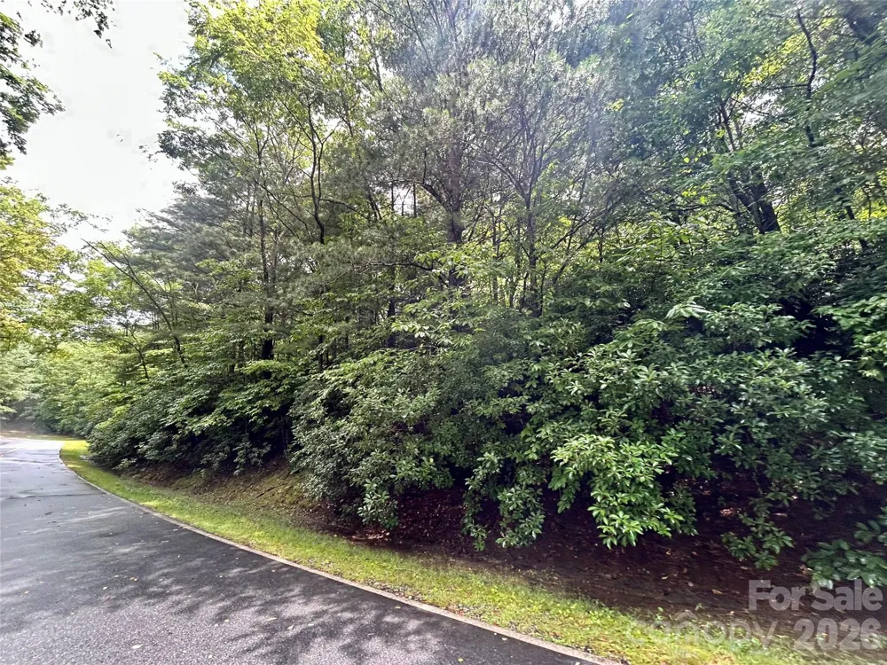 Lot 40 Hawk Mountain Road Lake Toxaway, NC 28747