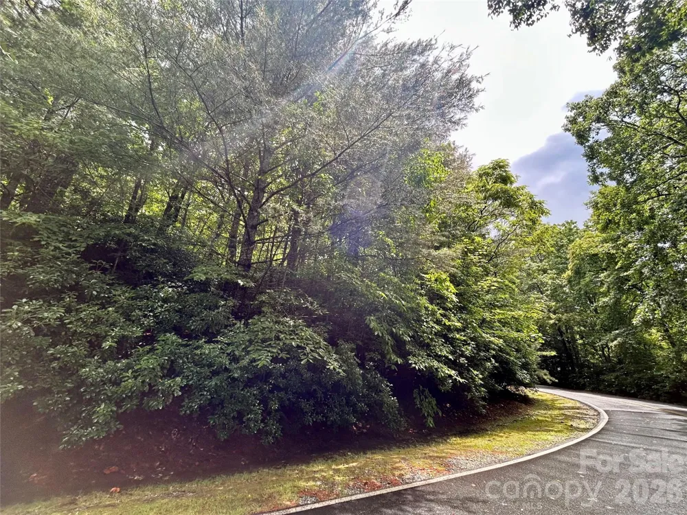 Lot 40 Hawk Mountain Road Lake Toxaway, NC 28747
