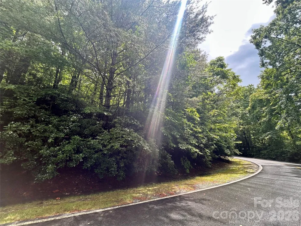 Lot 40 Hawk Mountain Road Lake Toxaway, NC 28747