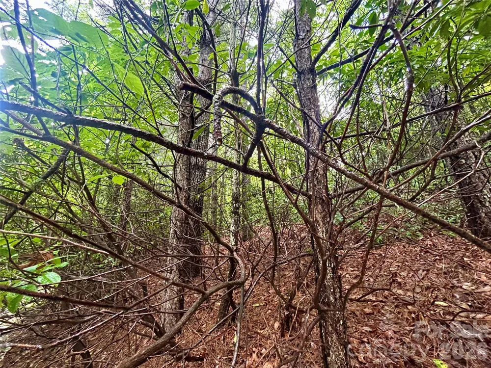 Lot 40 Hawk Mountain Road Lake Toxaway, NC 28747