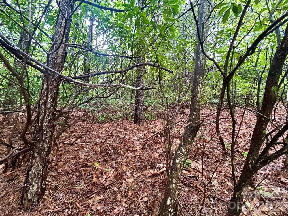 Lot 40 Hawk Mountain Road Lake Toxaway, NC 28747