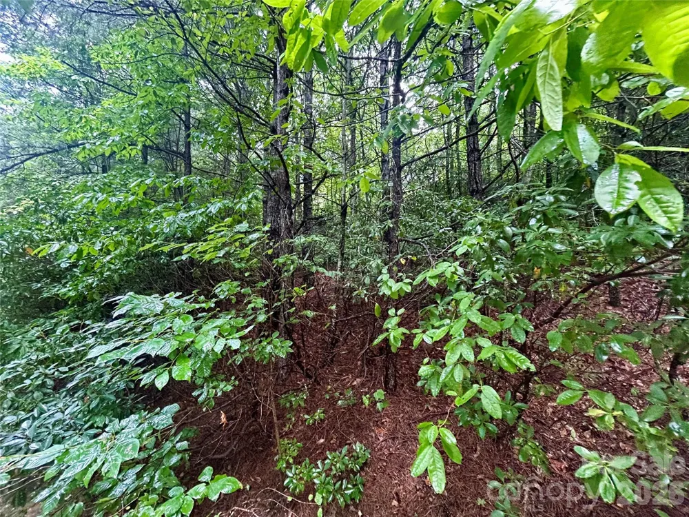 Lot 40 Hawk Mountain Road Lake Toxaway, NC 28747
