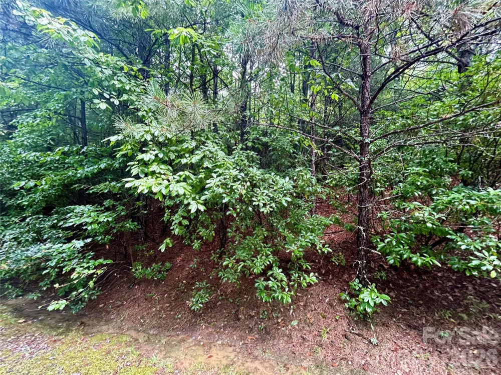 Lot 40 Hawk Mountain Road Lake Toxaway, NC 28747