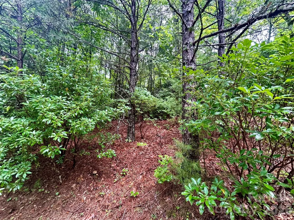 Lot 40 Hawk Mountain Road Lake Toxaway, NC 28747