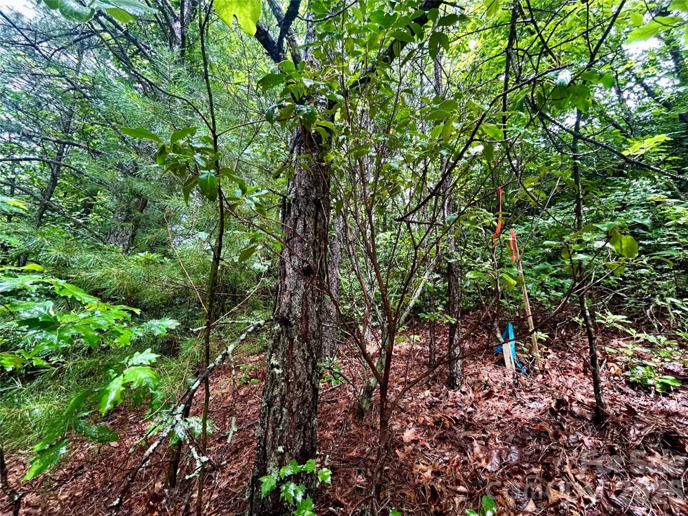 Lot 40 Hawk Mountain Road Lake Toxaway, NC 28747
