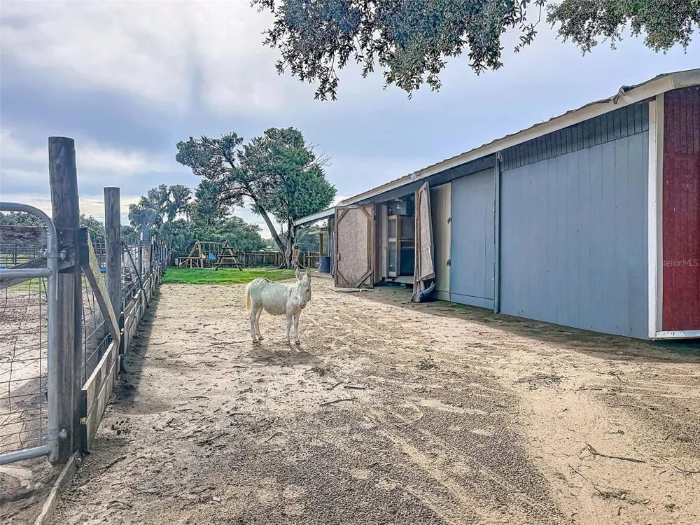 16736 POWERLINE ROAD Dade City, FL 33523