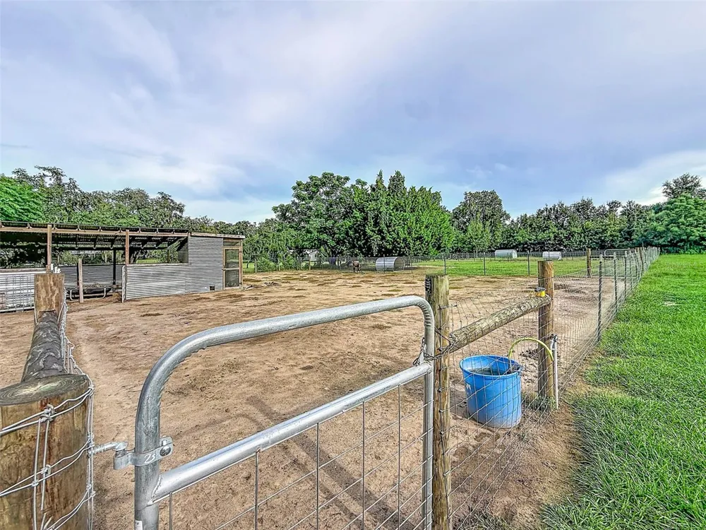 16736 POWERLINE ROAD Dade City, FL 33523