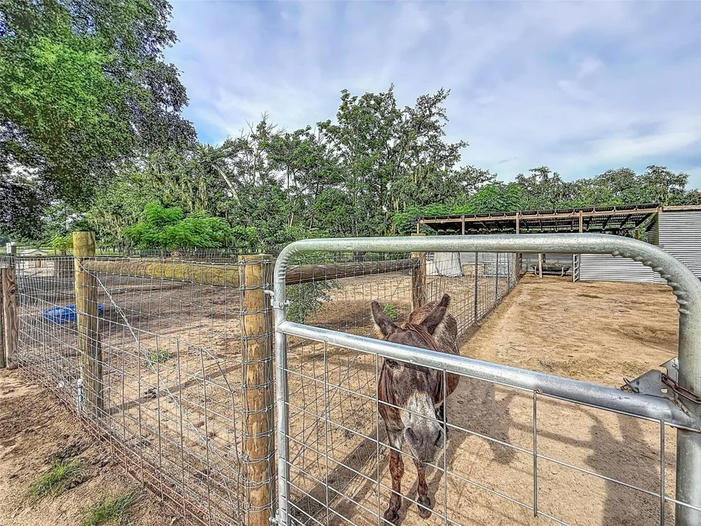 16736 POWERLINE ROAD Dade City, FL 33523