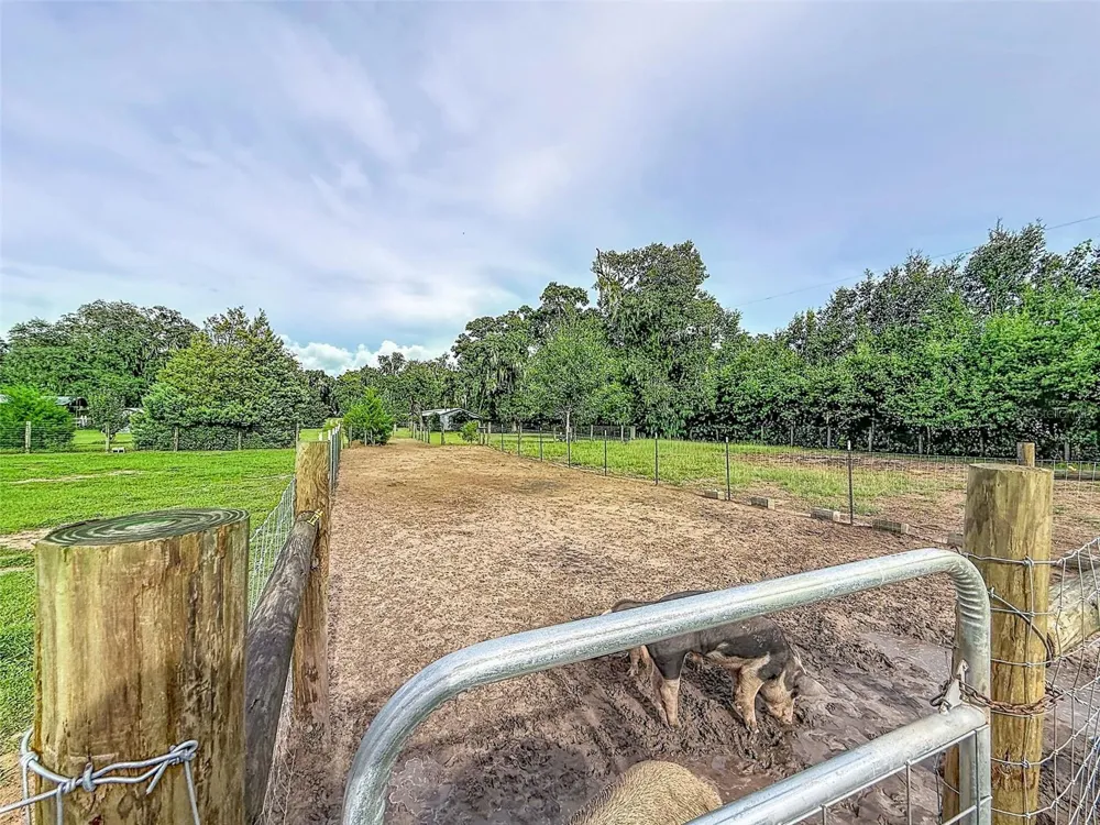 16736 POWERLINE ROAD Dade City, FL 33523