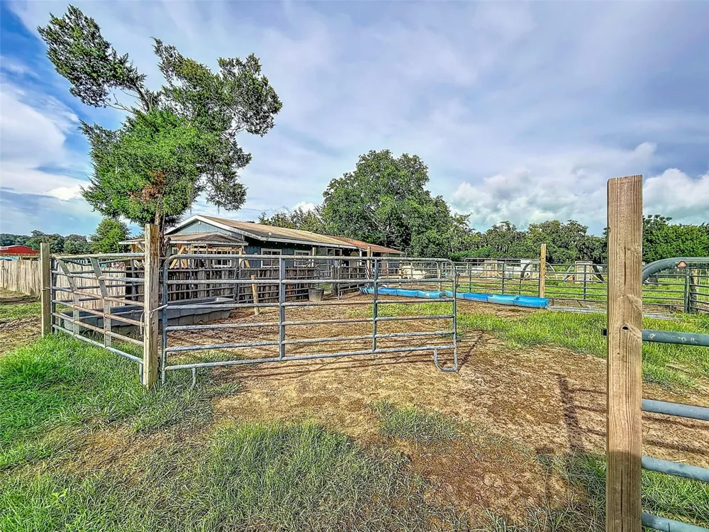 16736 POWERLINE ROAD Dade City, FL 33523