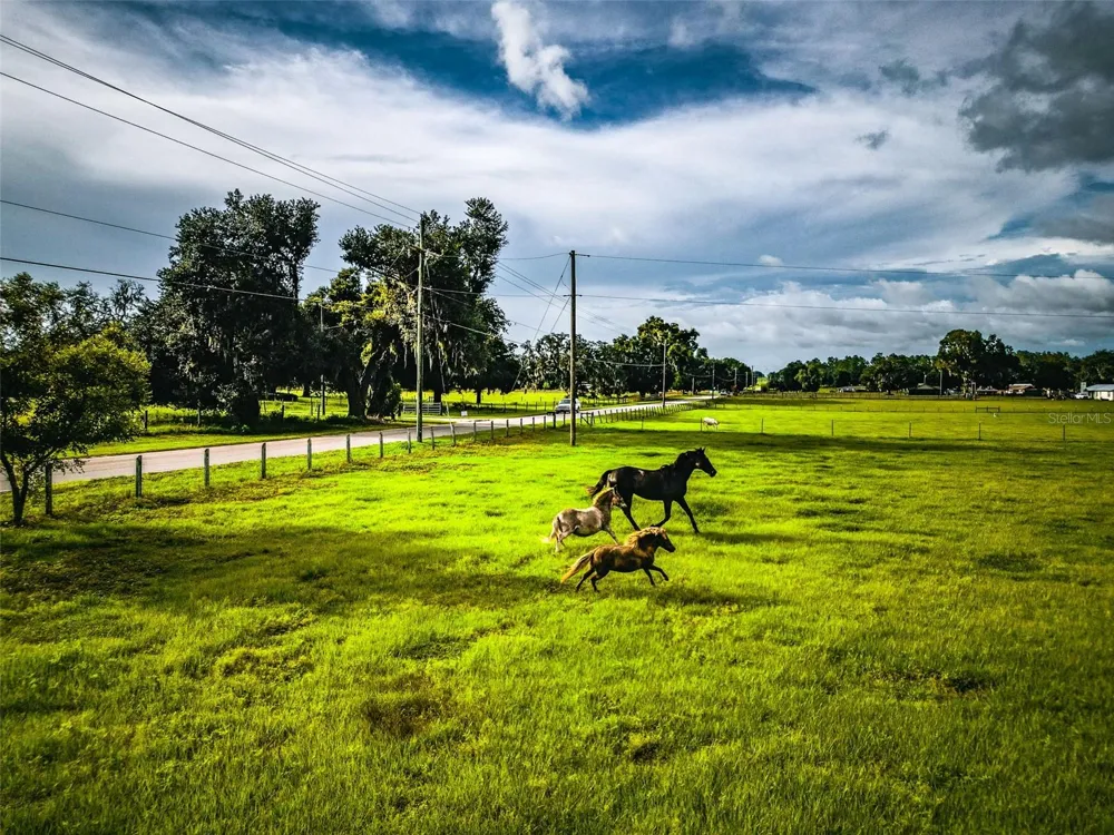 16736 POWERLINE ROAD Dade City, FL 33523
