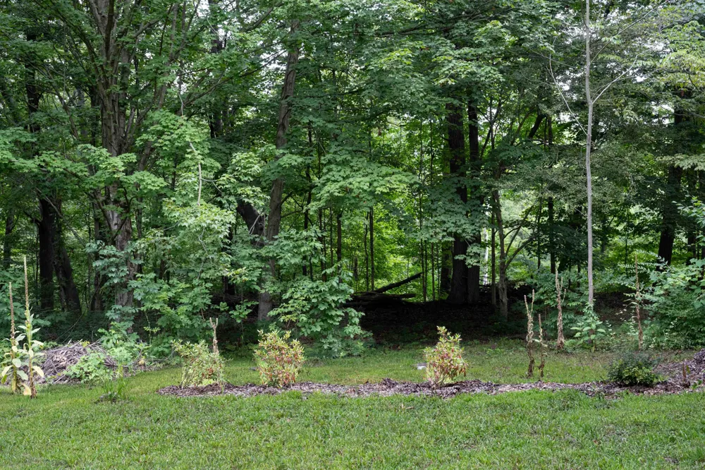 4315 Hipps Hollow Road Sodus Township, MI 49111