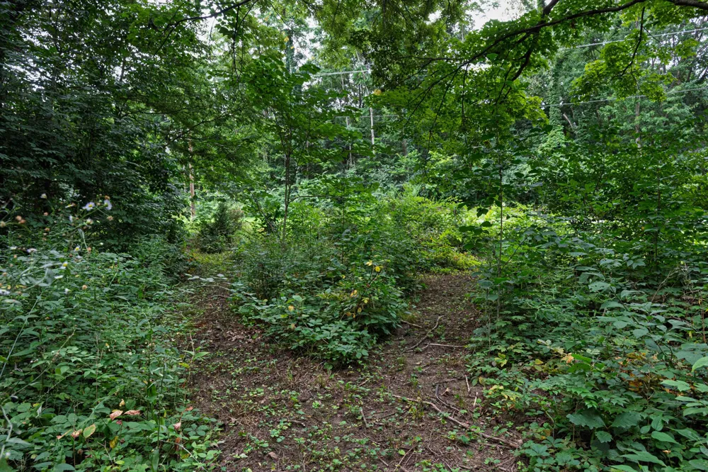 4315 Hipps Hollow Road Sodus Township, MI 49111