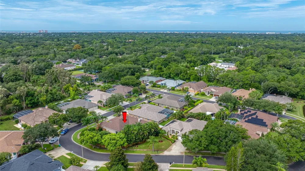 10675 PARK PLACE DRIVE Seminole, FL 33778