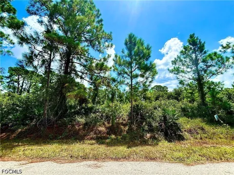 Pine Avenue