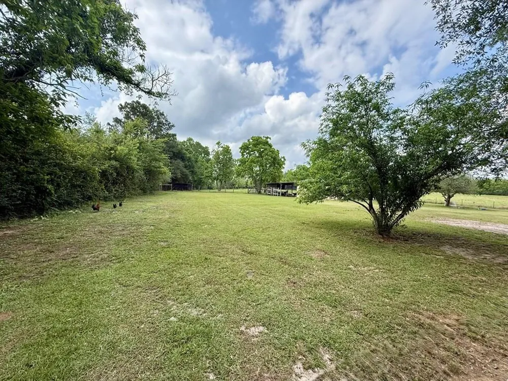 3017 N Hwy 87 Newton, TX 75966